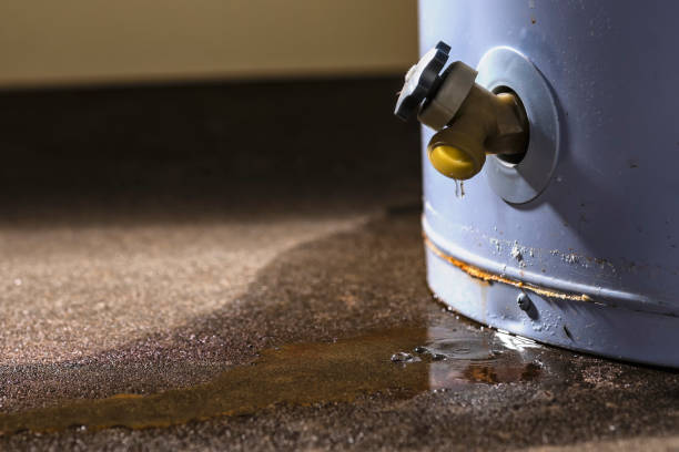 Best Water damage contractors near me  in Millers Creek, NC