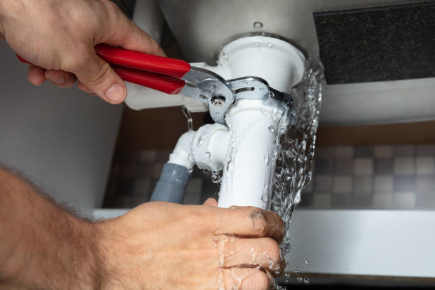Best Professional water damage repair  in Millers Creek, NC