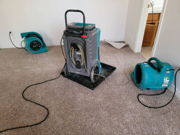 Best Water damage cleanup near me  in Millers Creek, NC