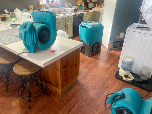 Best Mold removal after water damage  in Millers Creek, NC