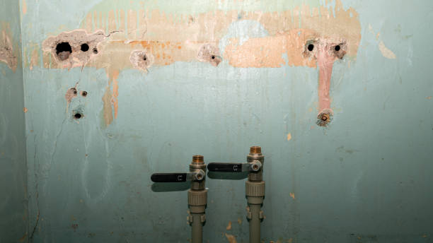 Best Basement water damage restoration  in Millers Creek, NC