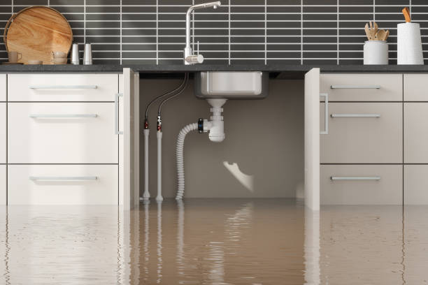 Best Flood damage cleanup  in Millers Creek, NC