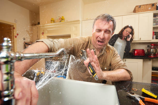 Best Professional water damage repair  in Millers Creek, NC